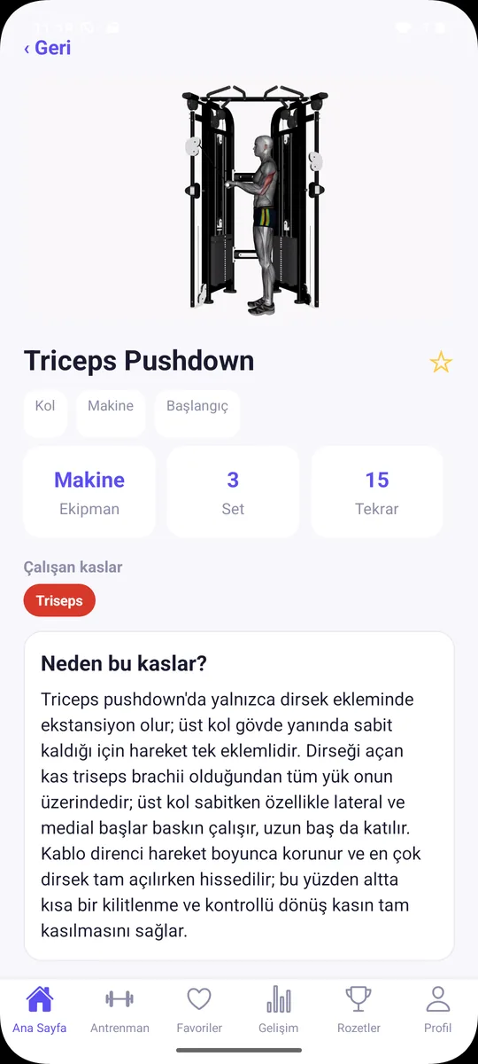 Neden bu kaslar?
