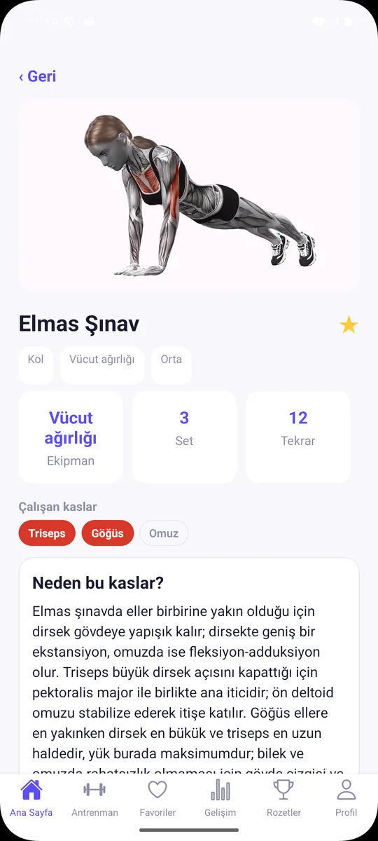 Egzersiz detayı
